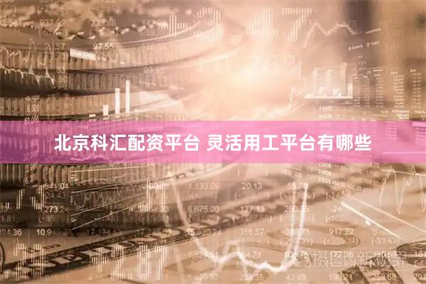 北京科汇配资平台 灵活用工平台有哪些